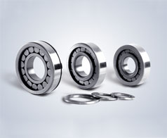 圓(yuán)柱滾子軸承--鷹(ying)牌軸承