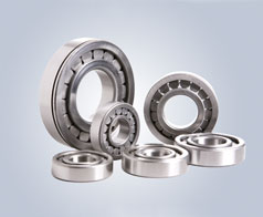 圓柱滾子(zi)軸承-鷹牌軸承(chéng)