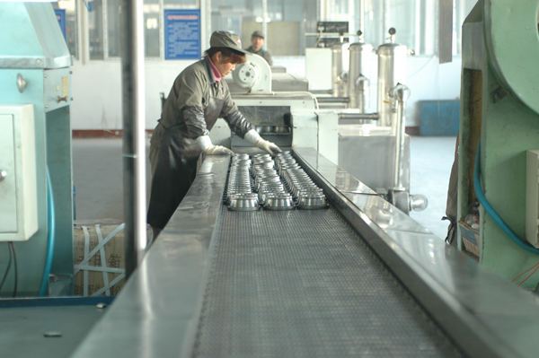 鷹牌(pai)軸承-全自動清洗(xi)機